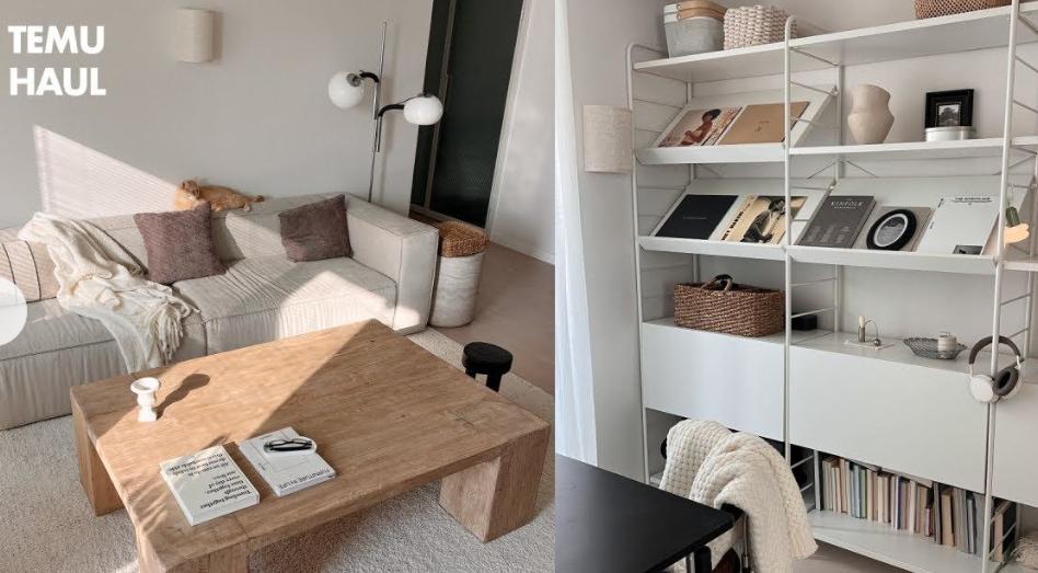 Temu家居品类的最新选品策略 超实用Temu选品内容分享