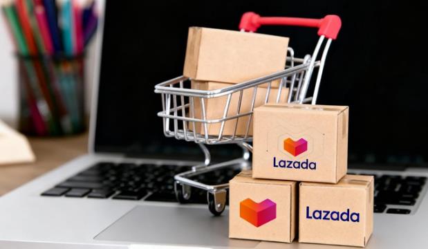 lazada店铺被下线是什么原因 lazada店铺被下线怎么办