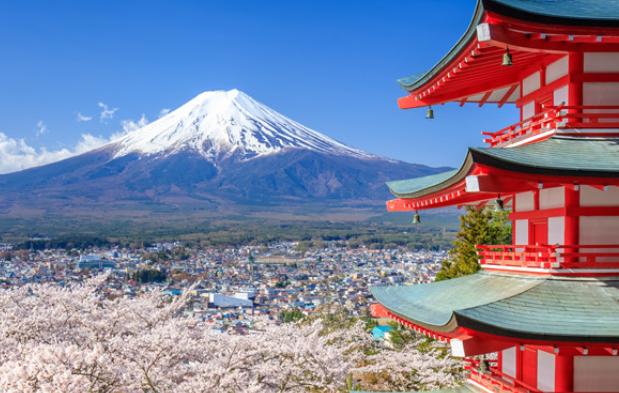 Temu在日本市场的发展前景分析 Temu在日本拓展的市场空间