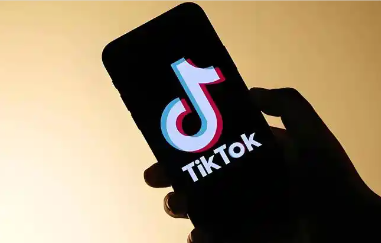 TIKTOK的CRM系统有哪些 TIKTOK的CRM系统推荐