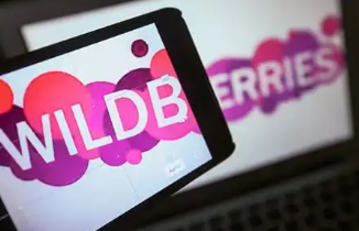 为什么FBS模式不提供清关服务 FBS模式不提供清关服务可能原因