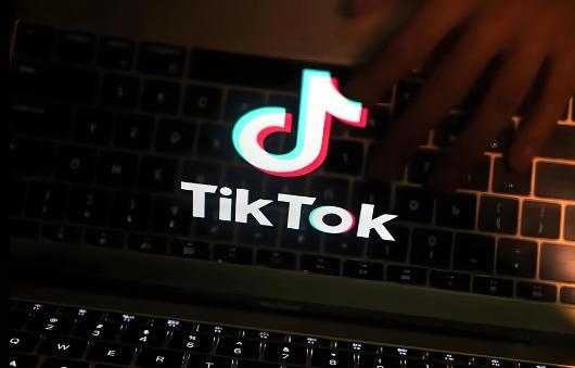 TikTok达人带货与达人种草有哪些不同 TikTok达人带货种草二者营销差异与策略解析