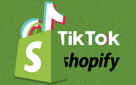 TikTok主页链接有修改次数限制吗 TikTok主页链接修改机制