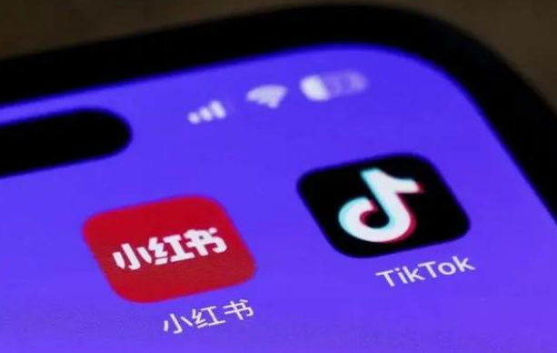 TikTok联盟带货怎么吸引达人合作 TikTok联盟带货吸引达人合作方法