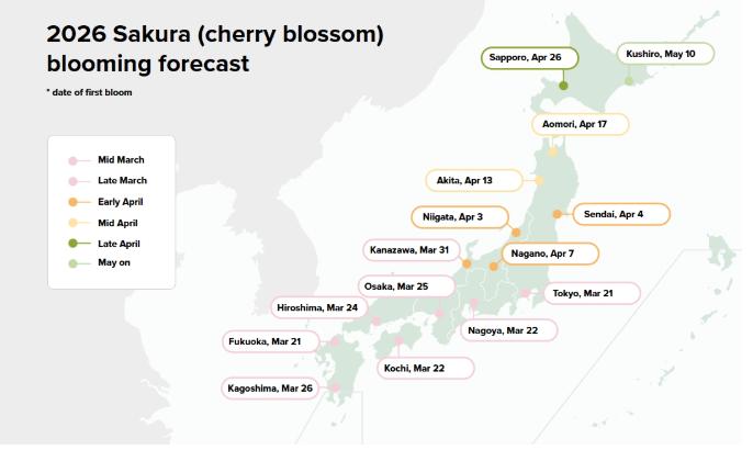 日本樱花季亚马逊如何选热销品 亚马逊2026年樱花季有哪些变化