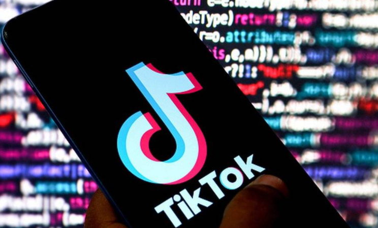 TikTok店铺号商是什么 TikTok店铺号商介绍