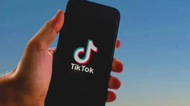 巴西中小企业流量格局逆转 社交媒体首次超越搜索引擎