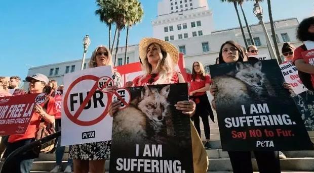 Etsy今年起正式执行环保动保 禁售动物皮毛制品