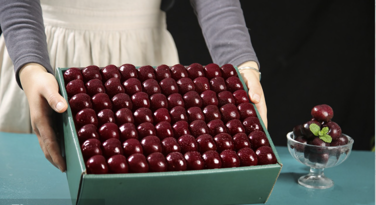 进口食品报关报检需要哪些材料 进口食品报关报检材料汇总