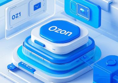 Ozon品牌信息填写方法说明 Ozon品牌授权申请流程