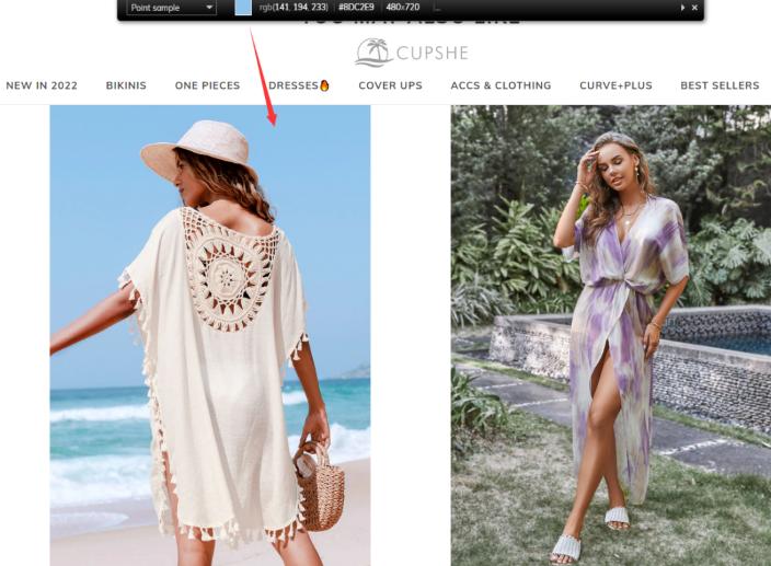 外贸独立站浏览器插件推荐 外贸独立站运营必备浏览器插件