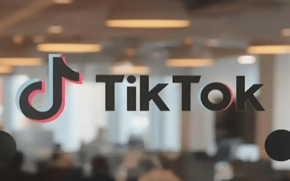 TikTok广告投放净ROI是什么 TikTok广告投放净ROI介绍
